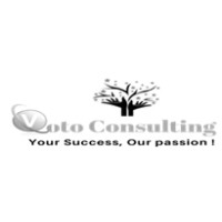 Voto Consulting LLC