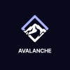 avalanche consulting