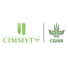 International Maize and Wheat Improvement Center (CIMMYT)