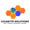gigabyte solutions (pvt) ltd