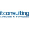 itconsulting