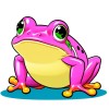 PinkFrog