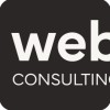 weblics consulting