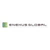 enexus global inc.