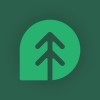 tree traction