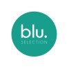 blu selection - recruitment agency