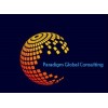 paradigm global consulting