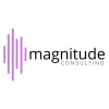 magnitude consulting