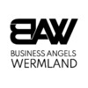 business angels wermland