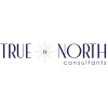 true north consultants