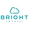 bright intelli llc