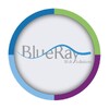 blue ray for web solutions