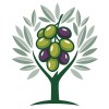 olive tree consulting group