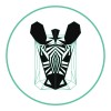 emerald zebra executive search & recruitment